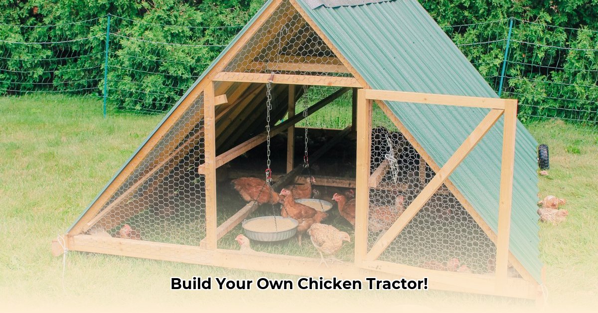 easy-chicken-tractor
